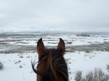 Balade à cheval dans la neige