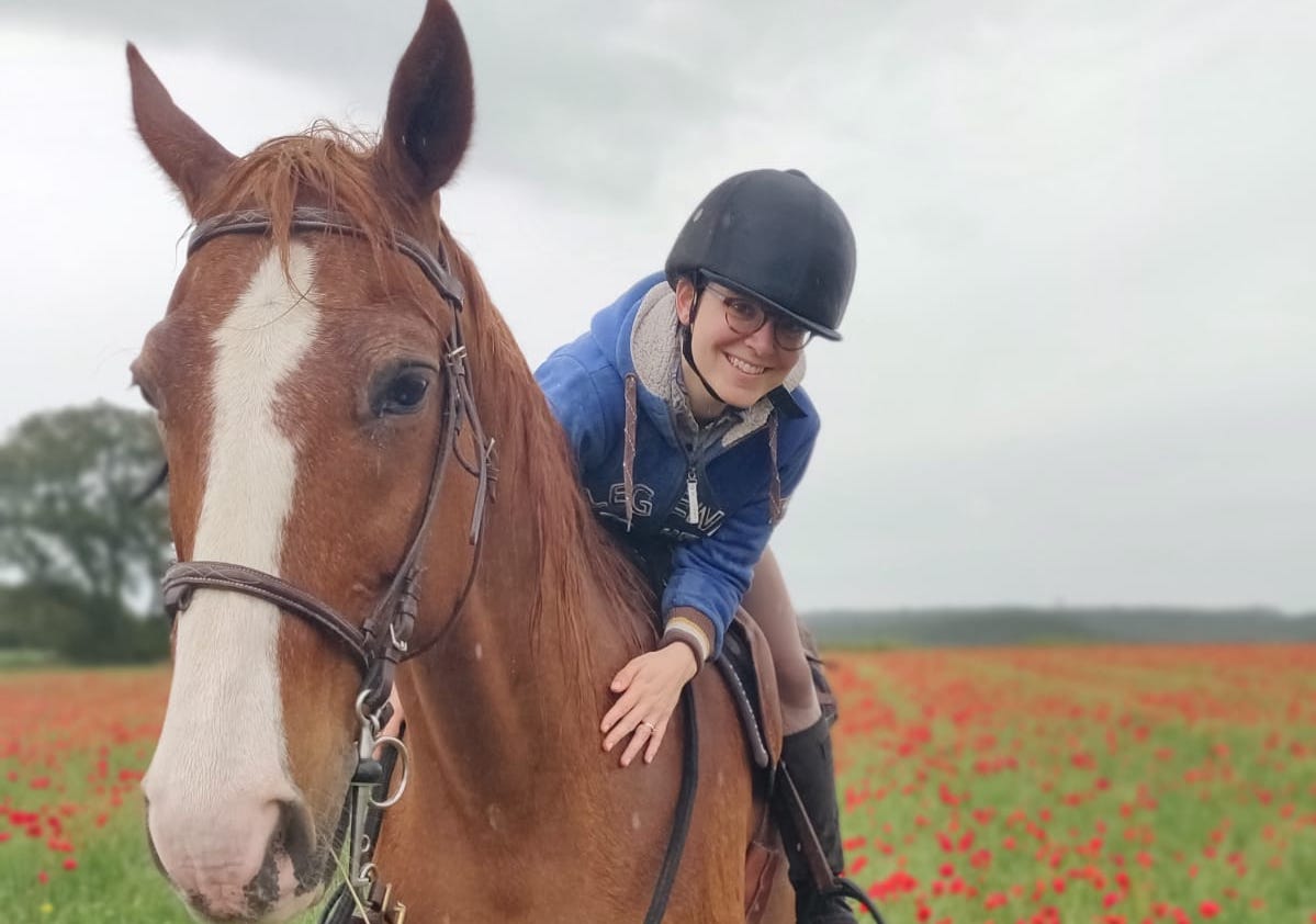 horizontal coquelicot cheval cavaliere