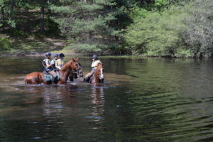 promenade à cheval avec un étang