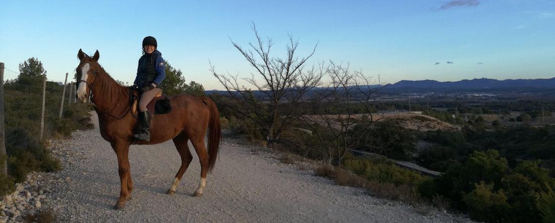 Code de la route du cavalier : ce qu’il faut savoir