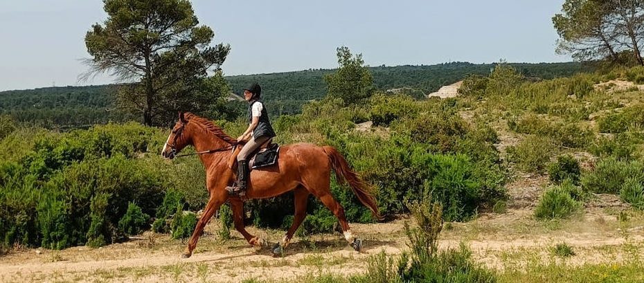 au trop en randonnée avec les hipposandales