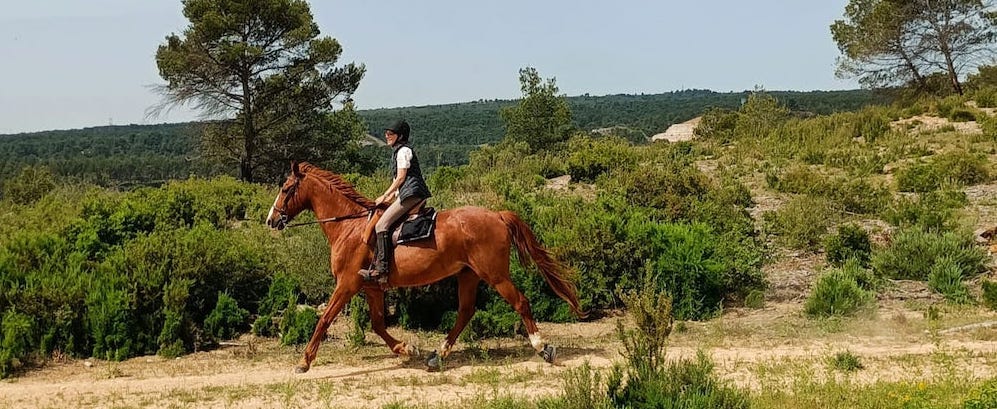 au trop en randonnée avec les hipposandales