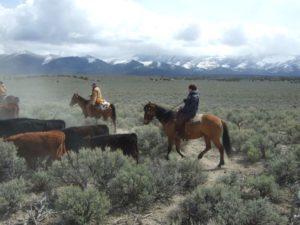 vacances dans un ranch a cheval