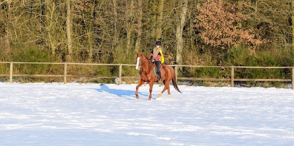 roman sur le cheval m'a fait réaliser mon reve