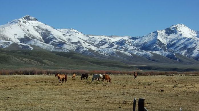 pré nevada chevaux