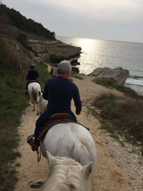 balade a cheval en bord de mer