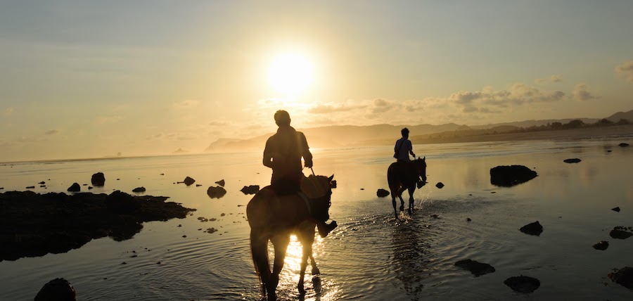 Balade à cheval au bord de la mer : 10 conseils si vous partez sans guide