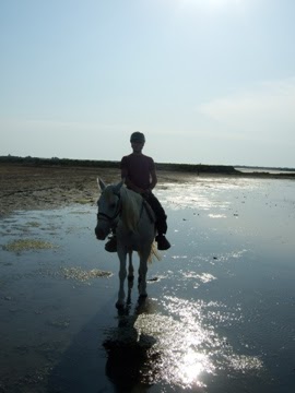 balade a cheval en carmargue
