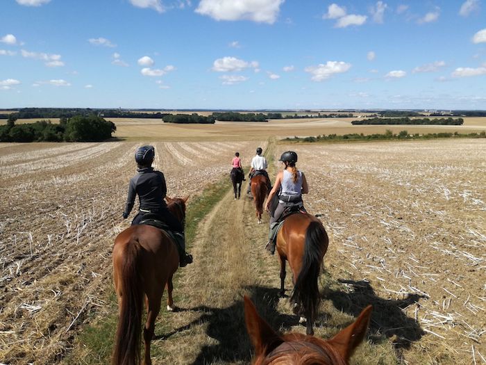 balade a cheval pour debutant