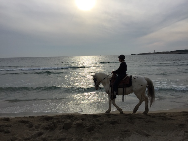 marcher dans la mer avec un cheval