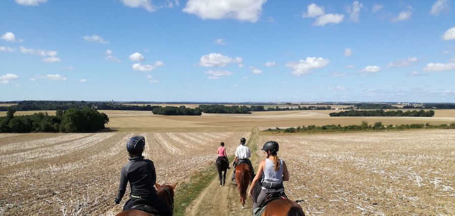 promenade a cheval pour debutant
