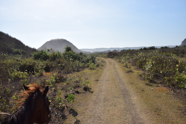 tourisme equestre Lombok