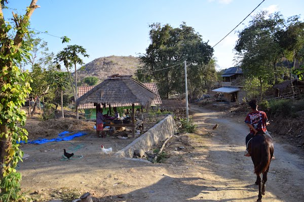 tourisme a cheval Lombok