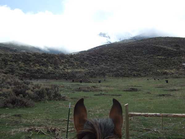 tourisme equestre nevada