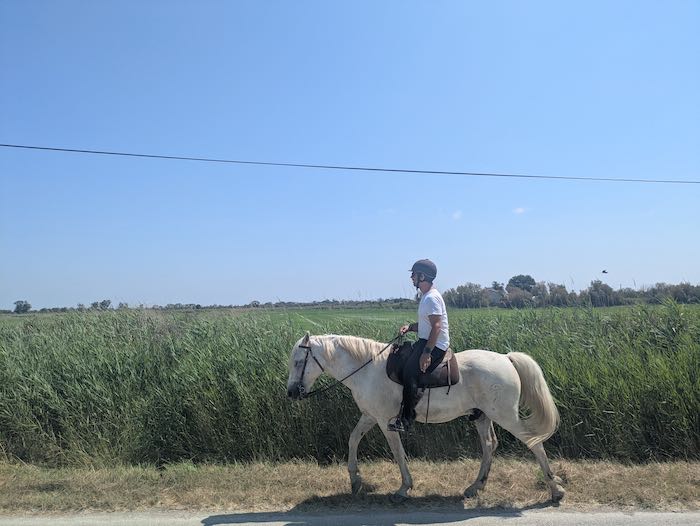 cheval camarguais