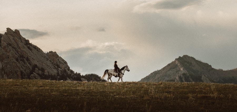 cheval et sa cavaliere se promènent