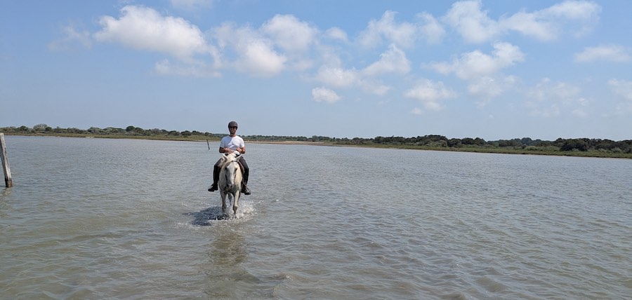 balades a cheval camargue