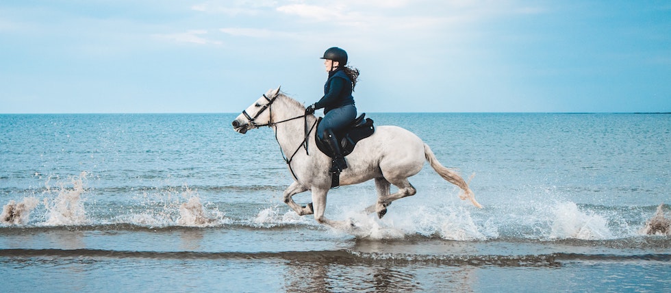 Bombe cheval  : 10 questions à vous poser avant votre achat