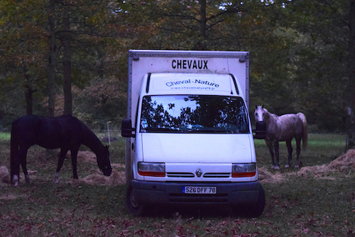 habituer le cheval aux camions