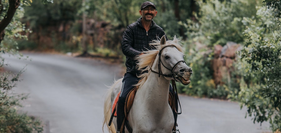 Le cheval qui a peur des voitures