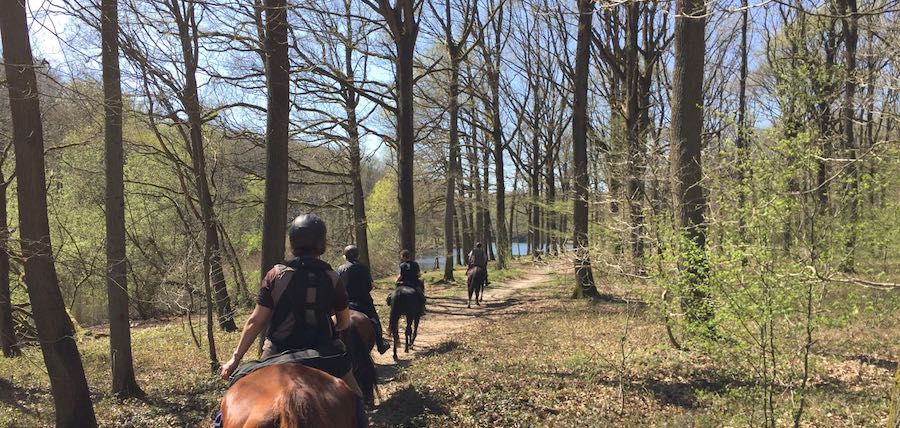 Tout savoir sur l&rsquo;équipement pour faire du cheval en extérieur