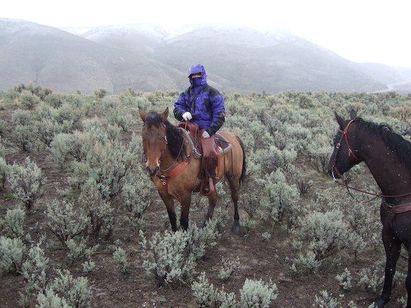 manteau impermeable et coupe vent equitation