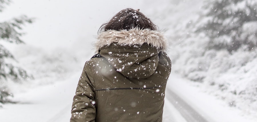 veste equitation hiver