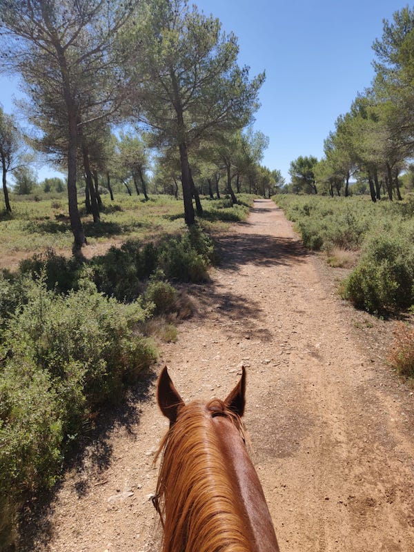 sortir seule a cheval