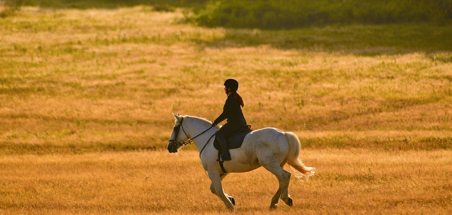 balade avec mon cheval