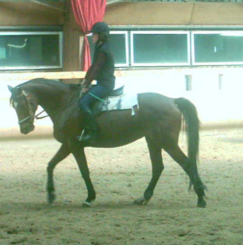 renes ajustees au pas