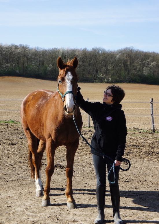 visite veto achat cheval