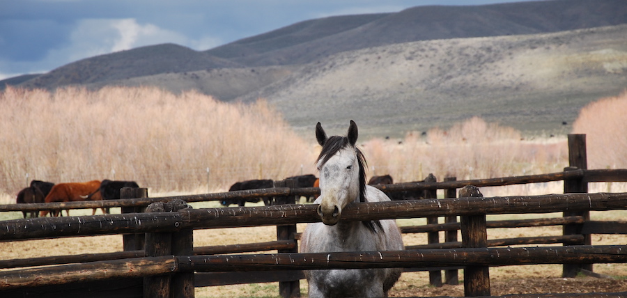 lacher prise et confiance en soi