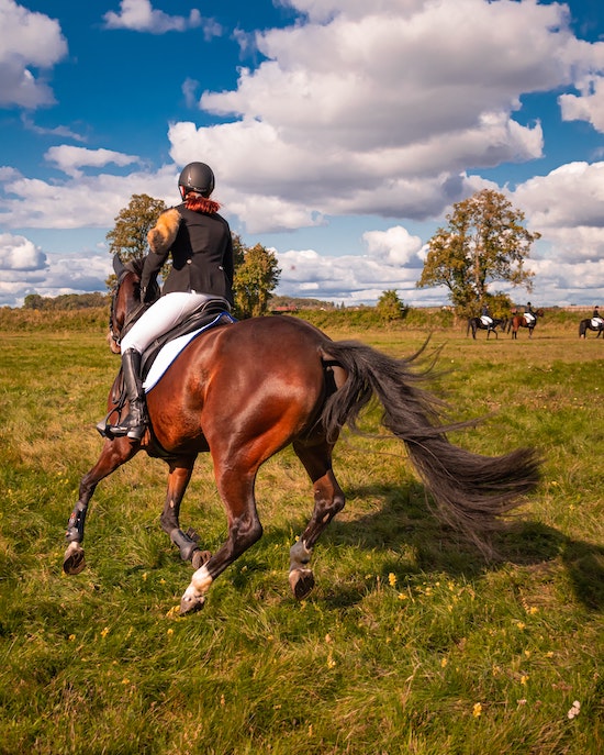 le cercle pour calmer un cheval au galop