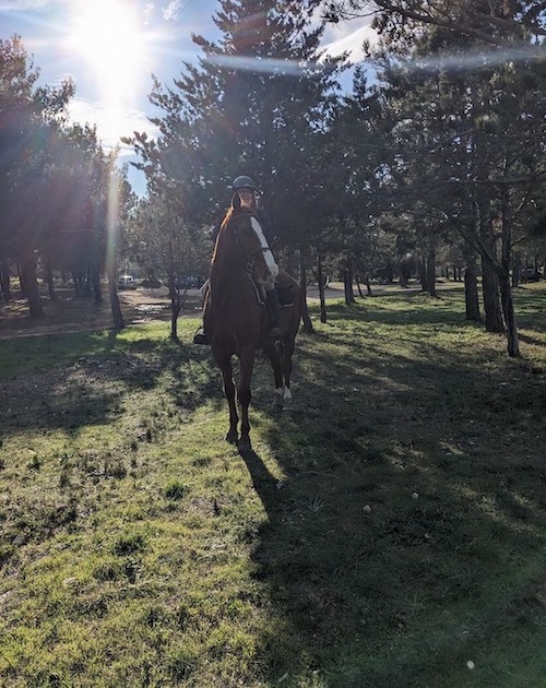 sol pour galoper en balade