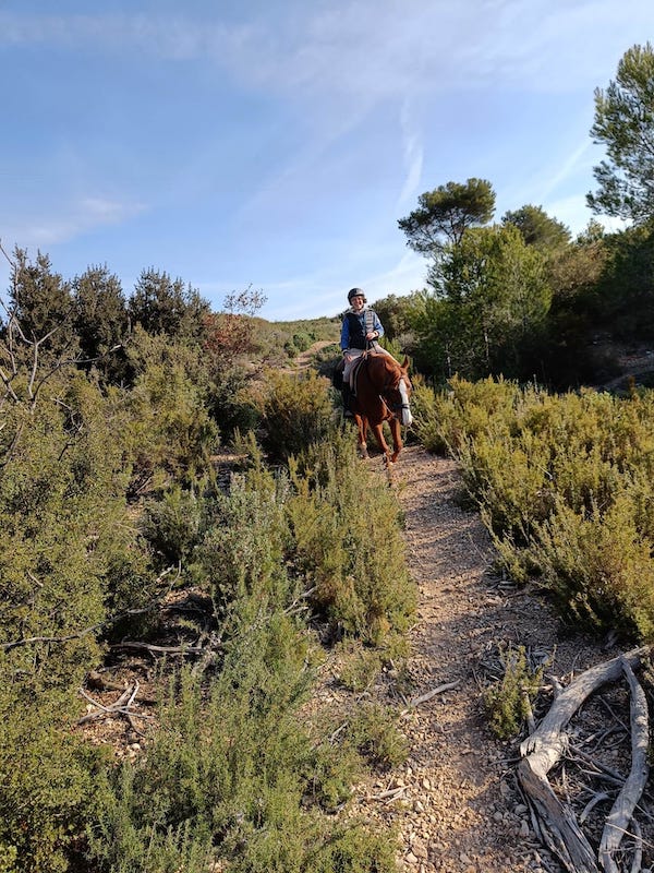 sentier de provence