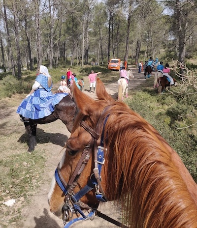 juste avant la benediction de calas cabries