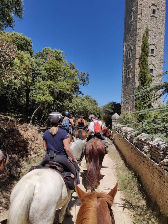 rando dans le luberon a cheval