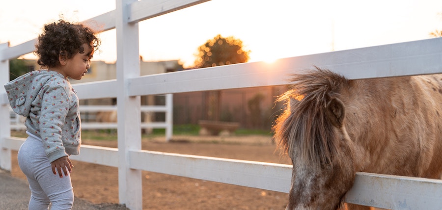 poney et petite fille