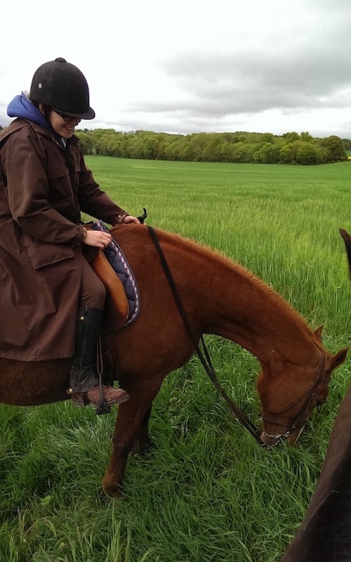 promenade à cheval pré herbe