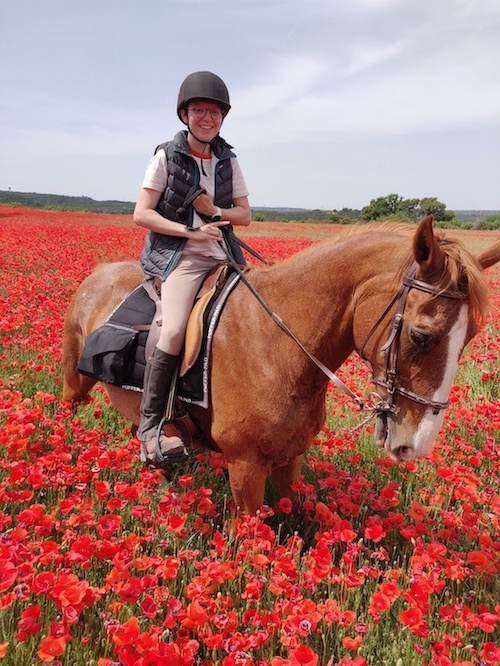 aix en provence champ de coquelicot cheval portrait