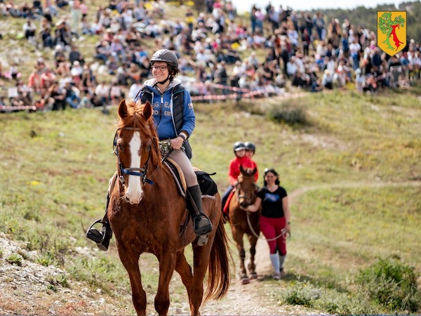 calas cabries benediction des chevaux