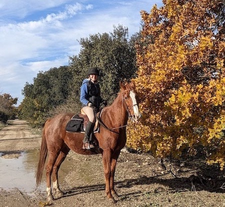 tapis à poches puffer pads sur un cheval