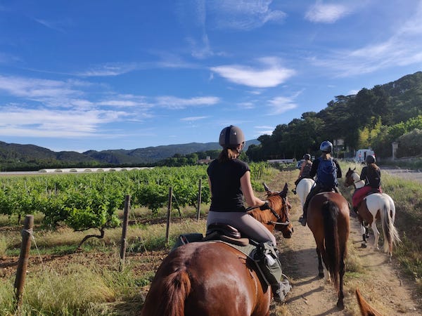 luberon au mois de mai