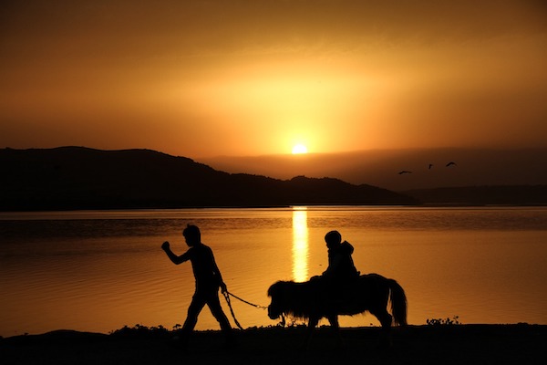 balade a poney coucher de soleil