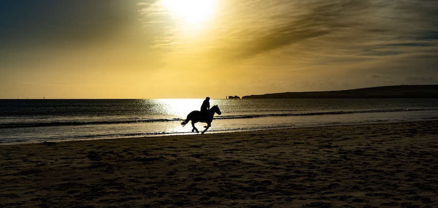 Galoper sur la plage : 9 conseils pour un galop inoubliable