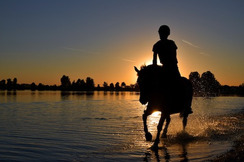 galop au soleil couchant