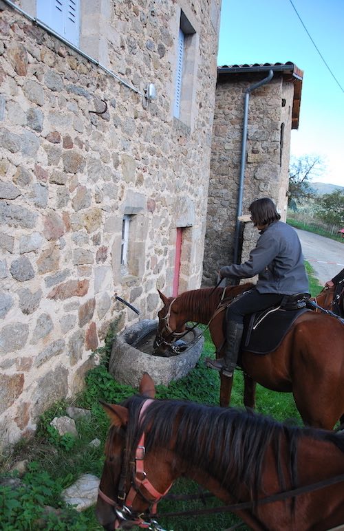 faire boire son cheval en promenade