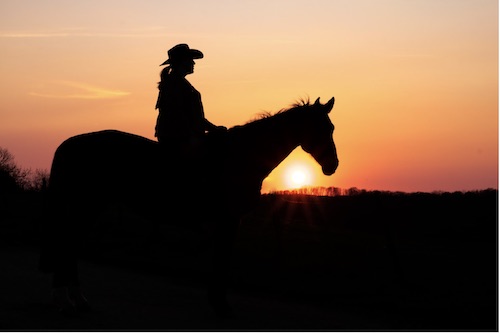 soleil couchant cheval et cavaliere