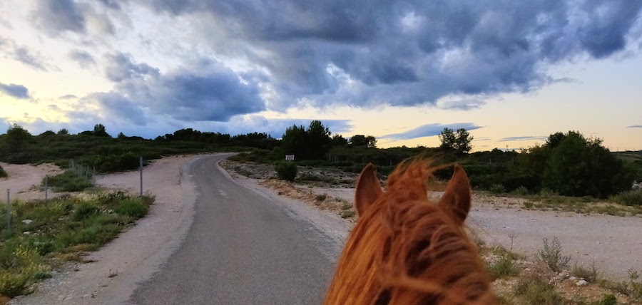 on regarde vers l'avenir