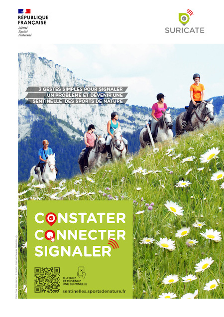 promenade a cheval suricate